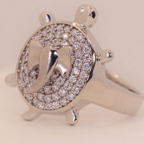 Silver Aura Eternity Finger Ring